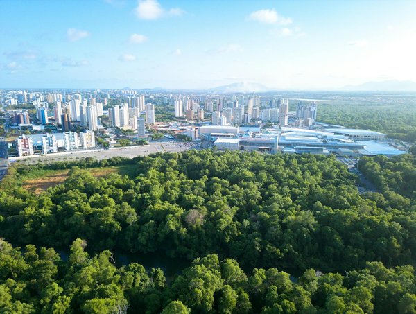 Découvrez l'élégance intemporelle des éventails uniques