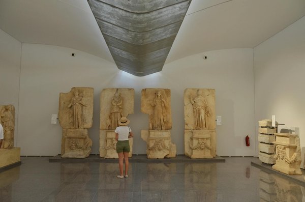 Assurance santé animale engagée : goodflair pour un monde meilleur